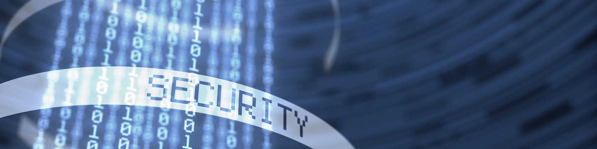 Graphical representation of security software.